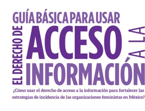 TOOLKIT: ¿Cómo usar el derecho de acceso a la información para incidir en la agenda feminista?