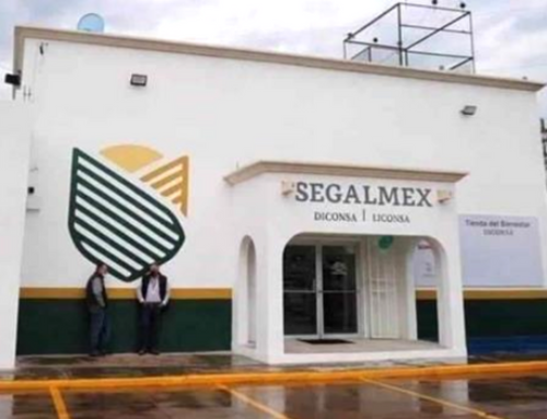 Segalmex: ¿una oportunidad para combatir a la corrupción?