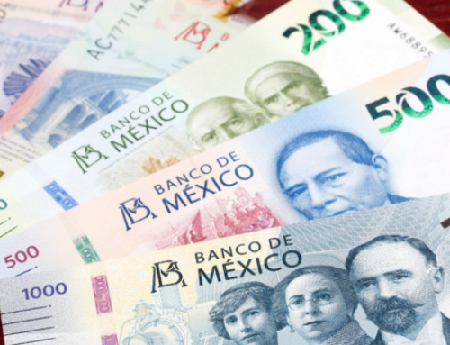 Se crea en México un fondo para financiar a organizaciones sociales que fortalecen la democracia